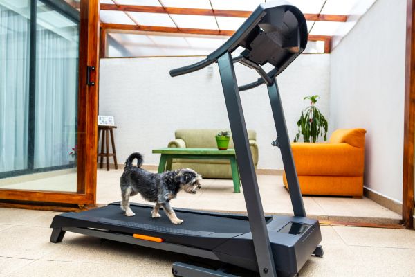 Treadmill Installation in Powell