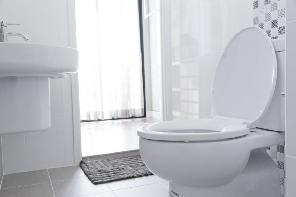 Toilet Seat Installation in Powell