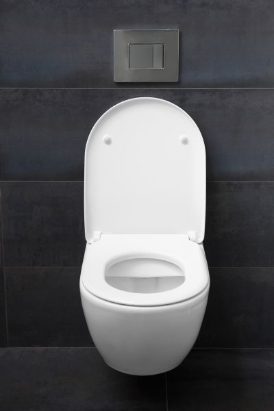 Toilet Lid Installation in Powell
