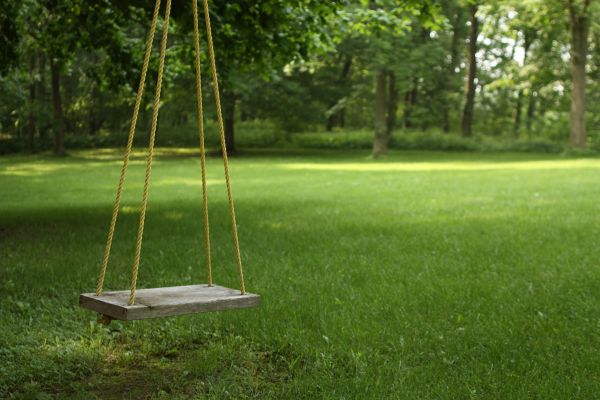 Rope Swing Installation in Powell