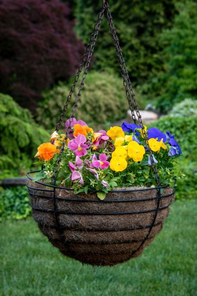 Hanging Basket Installation in Powell