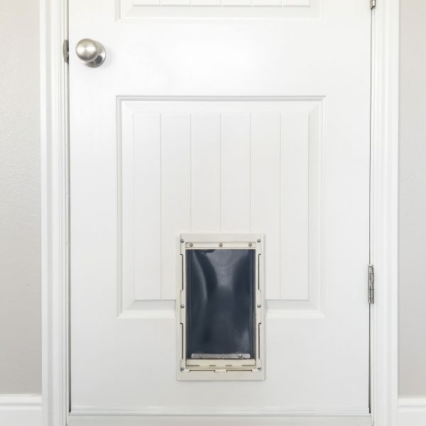 Pet Door Repair in Powell