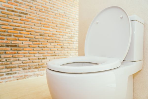 Toilet Seat Repair in Powell